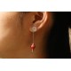 Conch Shell Earrings Conch Shell Earrings